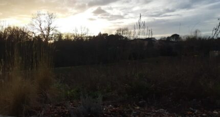 Castelnau-d'Estrétefonds Terrain à bâtir - 2462420-5202annonce320260320BStIe.jpeg Maisons Open