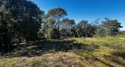 Le Thoronet Terrain à bâtir - 2463164-4529annonce120260320ba0WN.jpeg Maisons Open