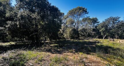 Le Thoronet Terrain à bâtir - 2463164-4529annonce220260320PXvpC.jpeg Maisons Open