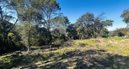 Le Thoronet Terrain à bâtir - 2463164-4529annonce320260320MTh3V.jpeg Maisons Open