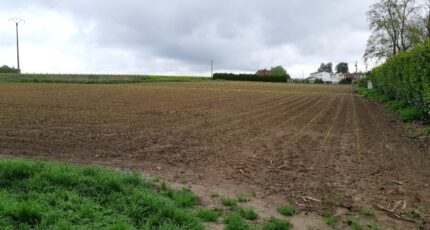 Saint-Hilaire-lez-Cambrai Terrain à bâtir - 2465923-10261annonce120240709fBma9.jpeg Maisons Open