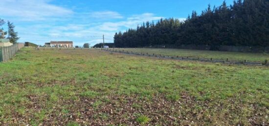 Terrain à bâtir à Montréal, Occitanie