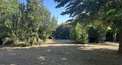 Mas-Saintes-Puelles Terrain à bâtir - 2466049-10986annonce120260324BSHK0.jpeg Maisons Open