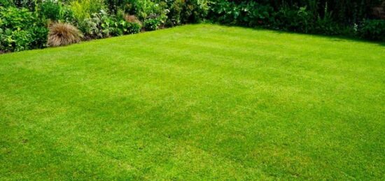 Terrain à bâtir à Campsas, Occitanie