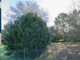  2466622-11194annonce120260325NaCRN.jpeg Maisons Open