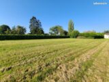 2406256-9835annonce120260126FkE3h.jpeg Maisons Open
