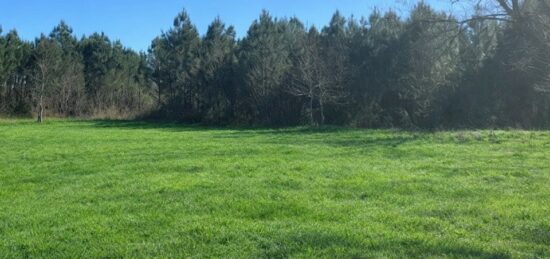 Terrain à bâtir à Salles, Nouvelle-Aquitaine