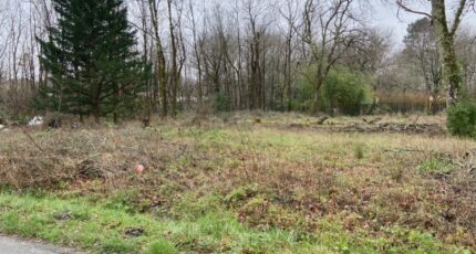 Cestas Terrain à bâtir - 2468588-11689annonce120260326tyPZp.jpeg Maisons Open