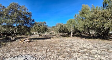 Cucuron Terrain à bâtir - 2468488-7050annonce120260326LyRMx.jpeg Maisons Open