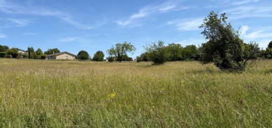 Terrain à bâtir à Montpitol, Occitanie