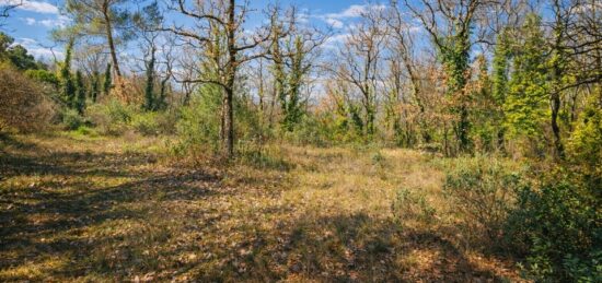 Terrain à bâtir à Saint-Cézaire-sur-Siagne, Provence-Alpes-Côte d'Azur