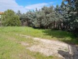  2469077-11238annonce2202603278BwxQ.jpeg Maisons Open