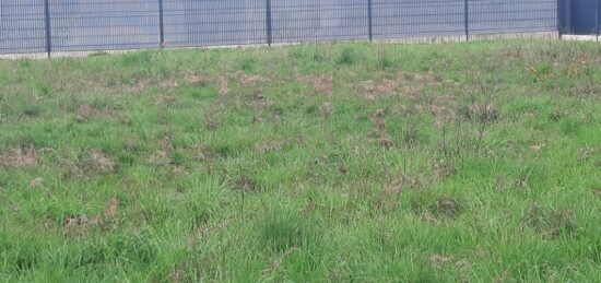 Terrain à bâtir à Mérignac, Nouvelle-Aquitaine