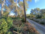  2469877-9911annonce1202603276e15r.jpeg Maisons Open