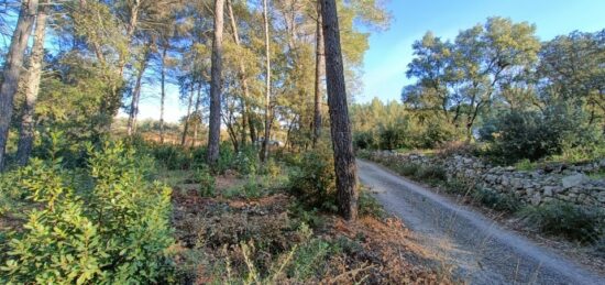 Terrain à bâtir à Trans-en-Provence, Provence-Alpes-Côte d'Azur