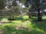  2471889-11040annonce120260330Pvdrh.jpeg Maisons Open