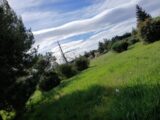  2471882-11040annonce120260330Ggo8n.jpeg Maisons Open