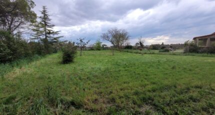 Sainte-Cécile-les-Vignes Terrain à bâtir - 2403237-6150annonce2202506272Ooh0.jpeg Maisons Open