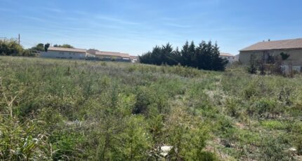 Pierrelatte Terrain à bâtir - 2429521-6150annonce320231221S4Trb.jpeg Maisons Open