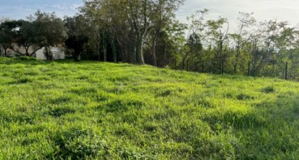 Bollène Terrain à bâtir - 2403247-6150annonce120241020dqrnr.jpeg Maisons Open