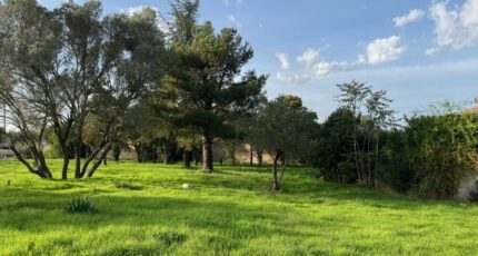 Bollène Terrain à bâtir - 2403247-6150annonce220241020B8N9f.jpeg Maisons Open