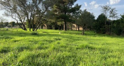 Bollène Terrain à bâtir - 2403247-6150annonce3202410205QIEN.jpeg Maisons Open