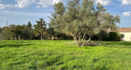 Bollène Terrain à bâtir - 2403247-6150annonce520241020y1cMT.jpeg Maisons Open