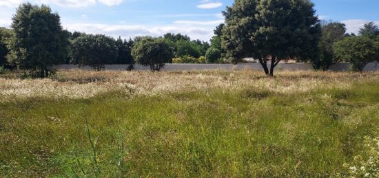 Terrain à bâtir à Vedène, Provence-Alpes-Côte d'Azur