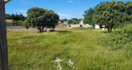 Sorgues Terrain à bâtir - 2472842-695annonce120260331EDgJT.jpeg Maisons Open