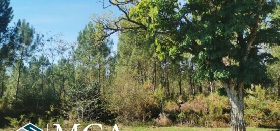 Terrain à bâtir à Hourtin, Nouvelle-Aquitaine