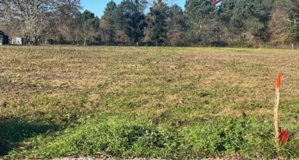 Grignols Terrain à bâtir - 2473063-9795annonce120260220ItUPP.jpeg Maisons Open