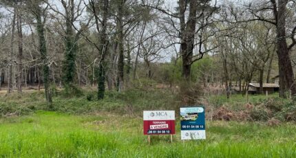 Damazan Terrain à bâtir - 2473217-9795annonce120260401xh5y1.jpeg Maisons Open