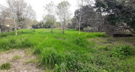 Flayosc Terrain à bâtir - 2473284-10295annonce120260401sp0hv.jpeg Maisons Open