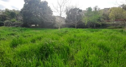 Flayosc Terrain à bâtir - 2473284-10295annonce220260401F3Cb5.jpeg Maisons Open