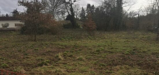Terrain à bâtir à Noaillan, Nouvelle-Aquitaine