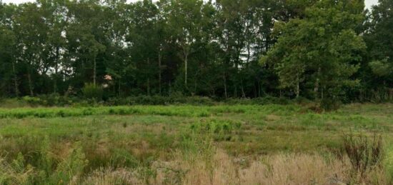 Terrain à bâtir à Saint-Aubin-de-Médoc, Nouvelle-Aquitaine