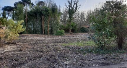 Gradignan Terrain à bâtir - 2473269-9575annonce120260223gEfp2.jpeg Maisons Open