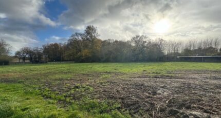 Blaignan Terrain à bâtir - 2473389-10624annonce120251203kqqK5.jpeg Maisons Open