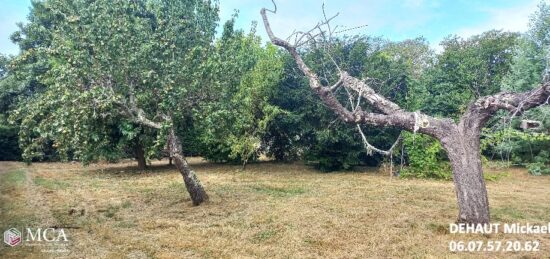 Terrain à bâtir à Montpon-Ménestérol, Nouvelle-Aquitaine