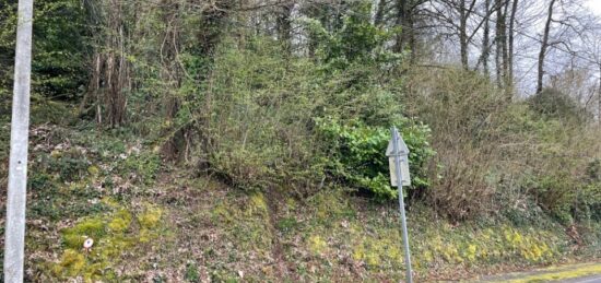 Terrain à bâtir à Bosmie-l'Aiguille, Nouvelle-Aquitaine