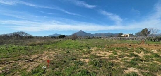Terrain à bâtir à La Crau, Provence-Alpes-Côte d'Azur