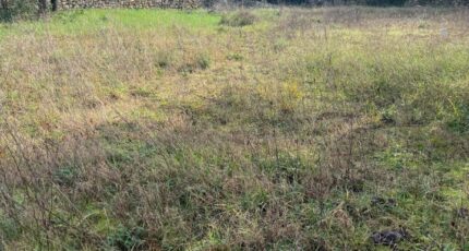 Langon Terrain à bâtir - 2397052-3601annonce1202601199Kaus.jpeg Maisons Open