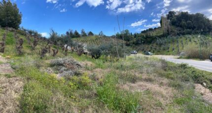 La Roquette-sur-Siagne Terrain à bâtir - 2473659-10140annonce2202604012Kzqz.jpeg Maisons Open