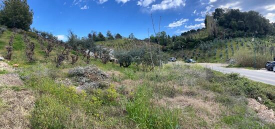 Terrain à bâtir à , Alpes-Maritimes