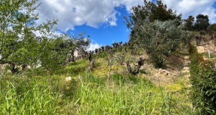 La Roquette-sur-Siagne Terrain à bâtir - 2473659-10140annonce3202604019525T.jpeg Maisons Open