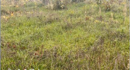 Podensac Terrain à bâtir - 2473755-3601annonce120260401qBzpD.jpeg Maisons Open