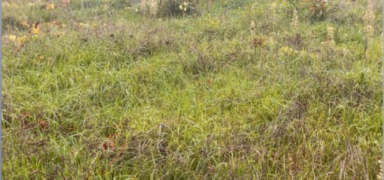 Terrain à bâtir à Podensac, Nouvelle-Aquitaine