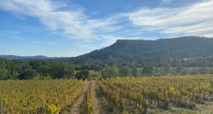 Lauret Terrain à bâtir - 2473866-10896annonce420260401TVwnP.jpeg Maisons Open