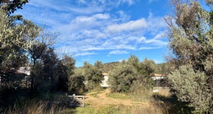 Saint-Jean-de-Fos Terrain à bâtir - 2473827-10896annonce320260401Vzrq9.jpeg Maisons Open