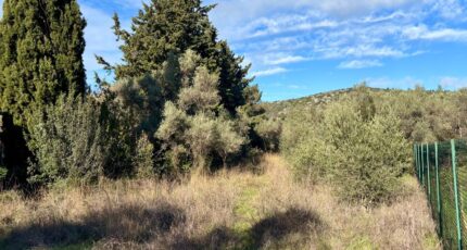 Saint-Jean-de-Fos Terrain à bâtir - 2473827-10896annonce420260401Zbefk.jpeg Maisons Open